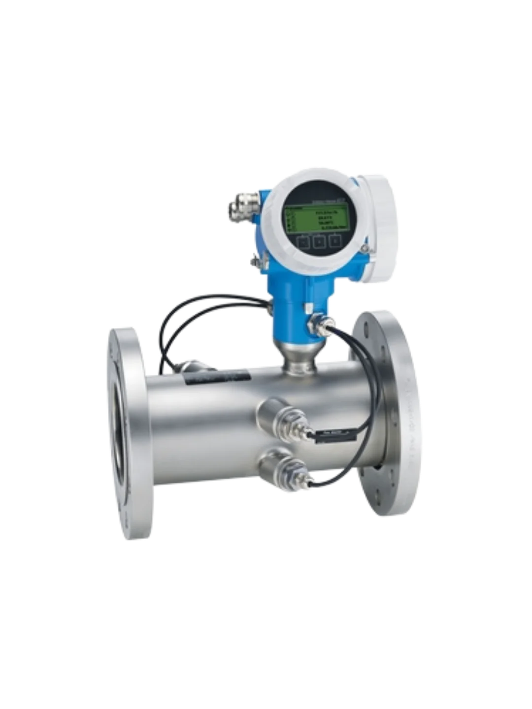 Proline Prosonic Flow B 200 Endress+Hauser - Ultrasonic Biogas Flowmeter 9B2B — Endress+Hauser General Automation